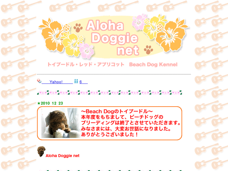 www.aloha-doggie.net