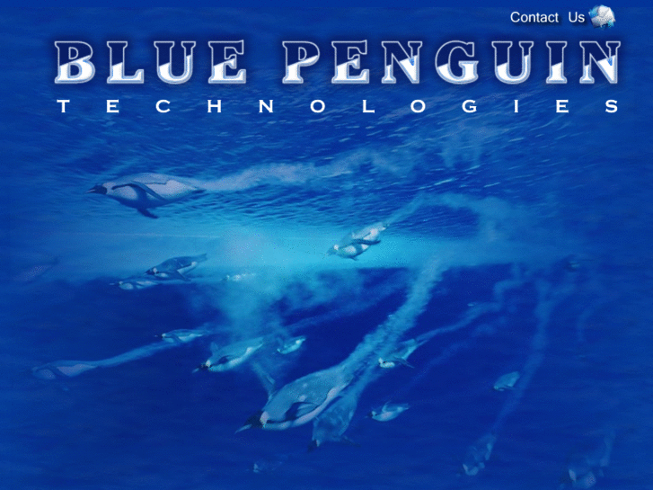www.bluepenguintech.net
