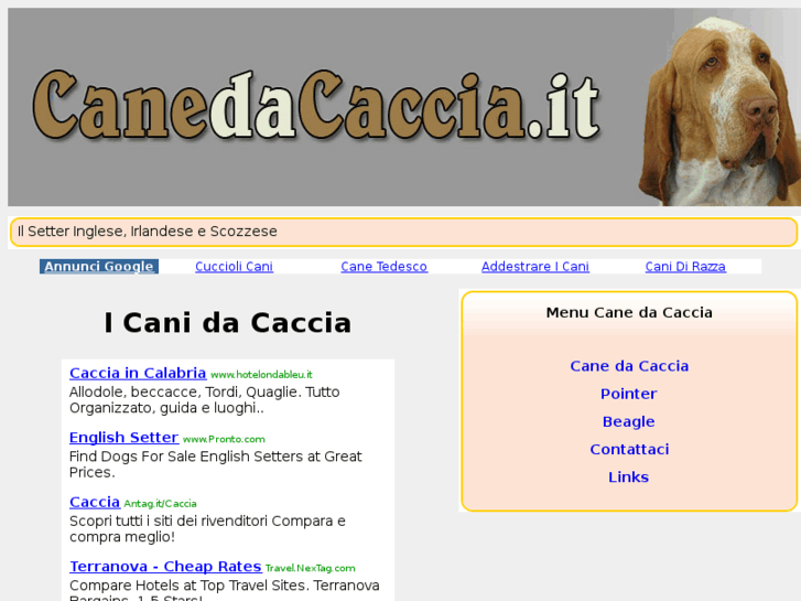 www.canedacaccia.it