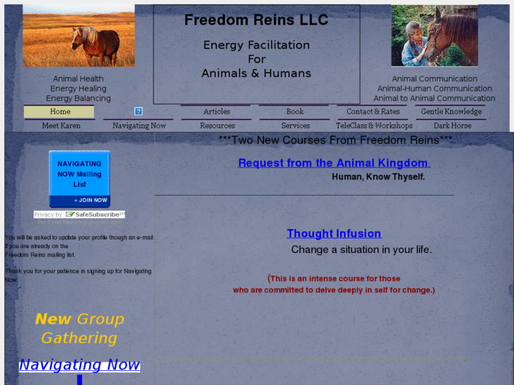 www.freedomreinsllc.com