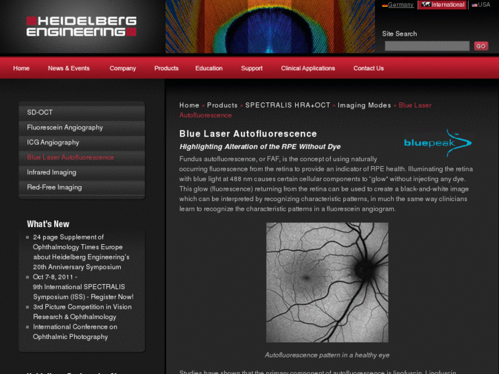 www.fundus-autofluorescence.com