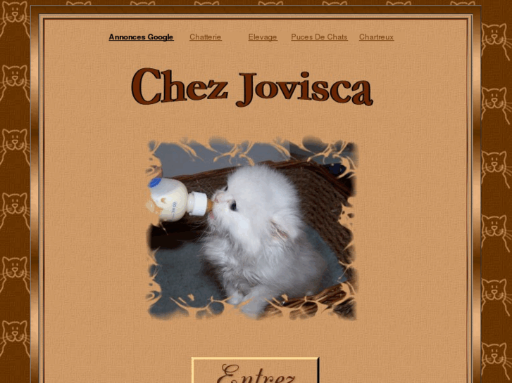 www.jovisca.com