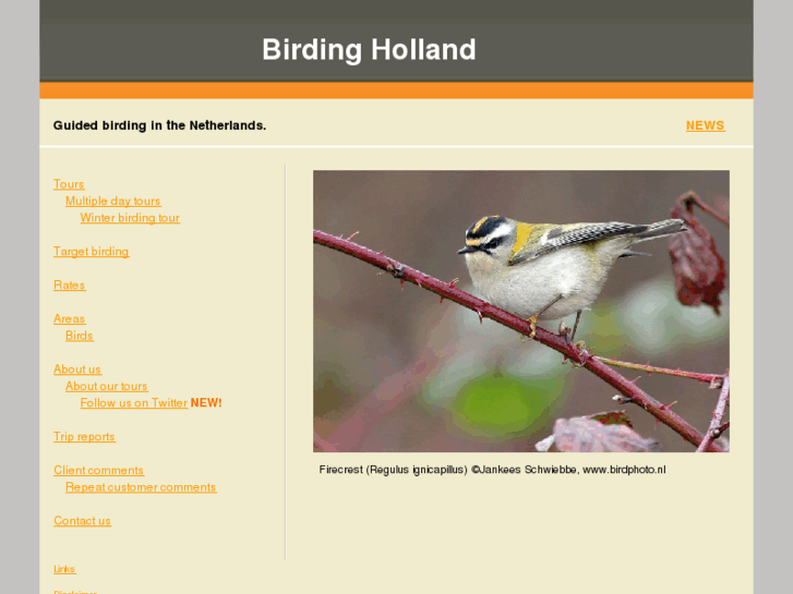 www.birdingholland.com