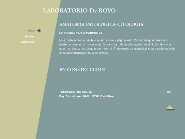 www.royolab.es