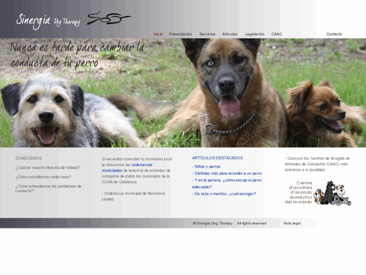 www.sinergiadogtherapy.com