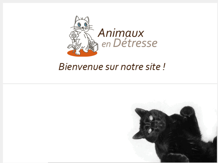 www.animaux-en-detresse.com