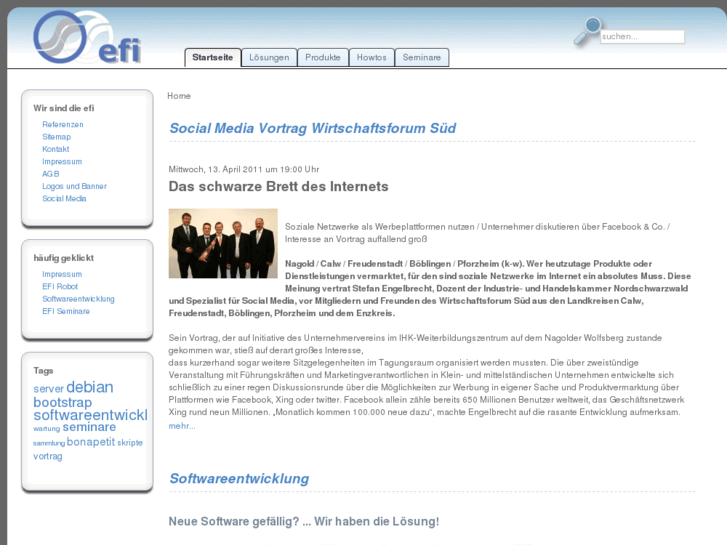 www.die-efi.de