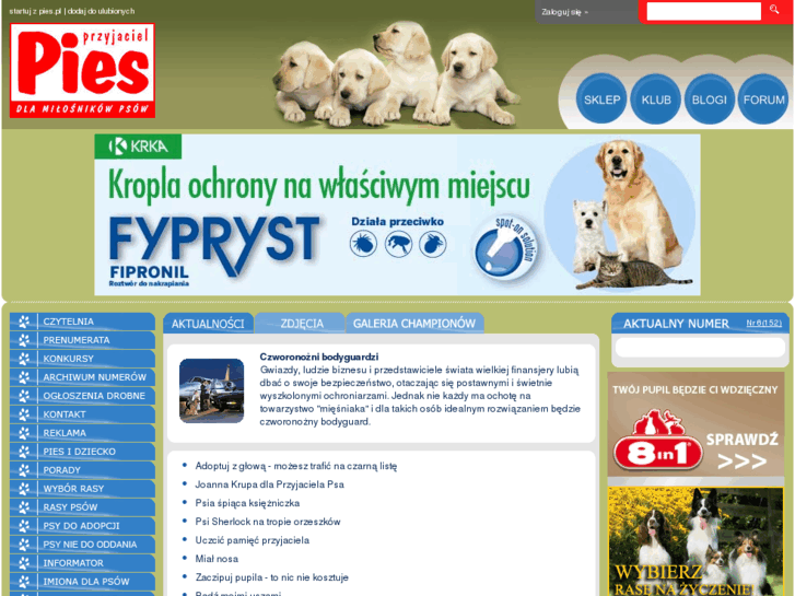 www.pies.pl