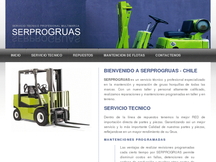 www.serprogruas.com