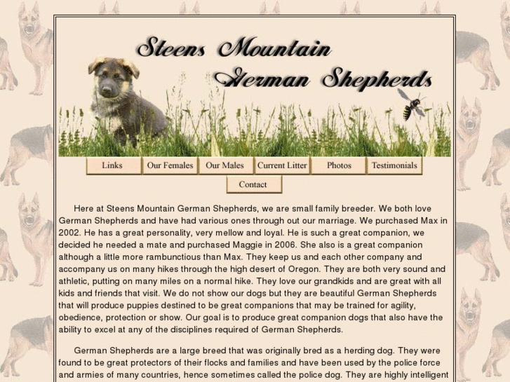 www.steensmountaingermanshepherds.com