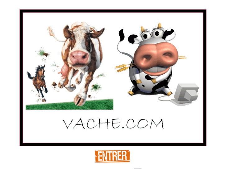 www.vache.com