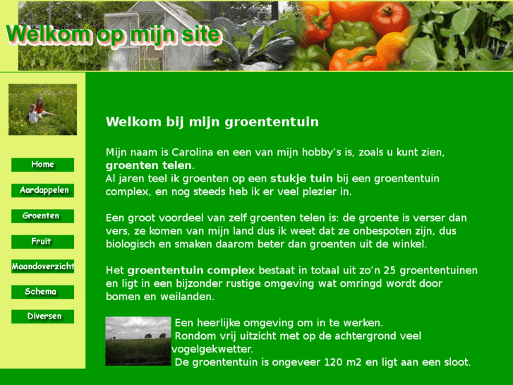 www.carolinasgroentetuin.nl