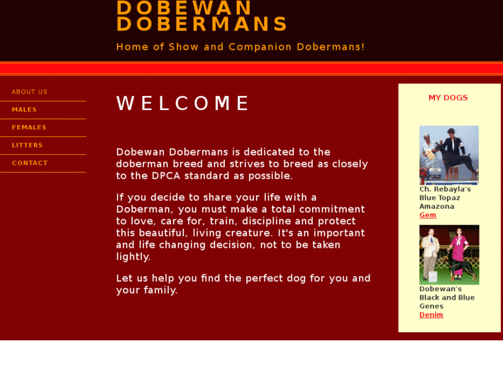 www.dobewan.com