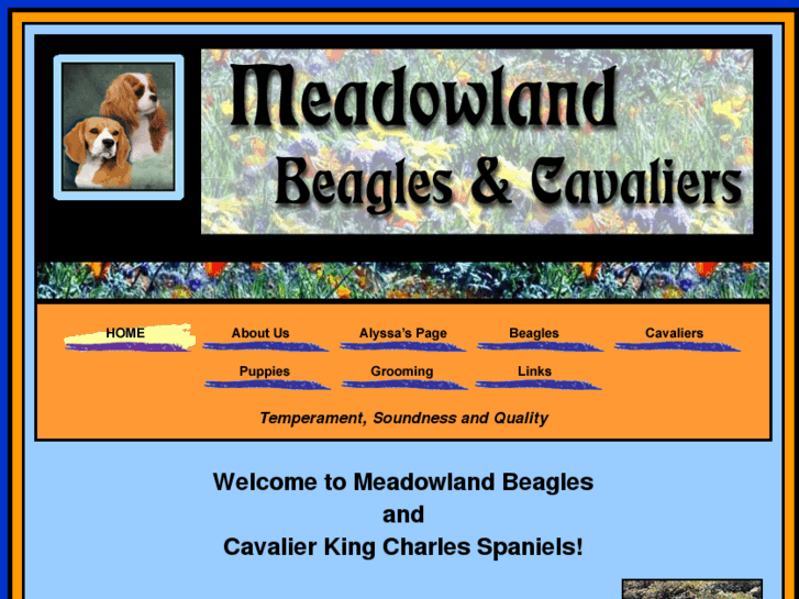 www.meadowlandbeagles.com