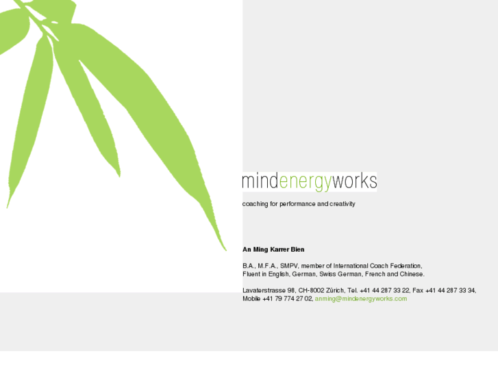 www.mindenergyworks.com