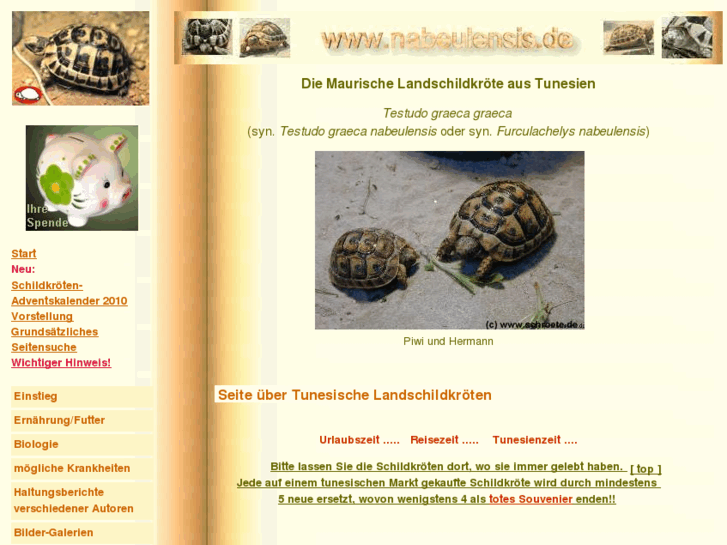 www.nabeulensis.de