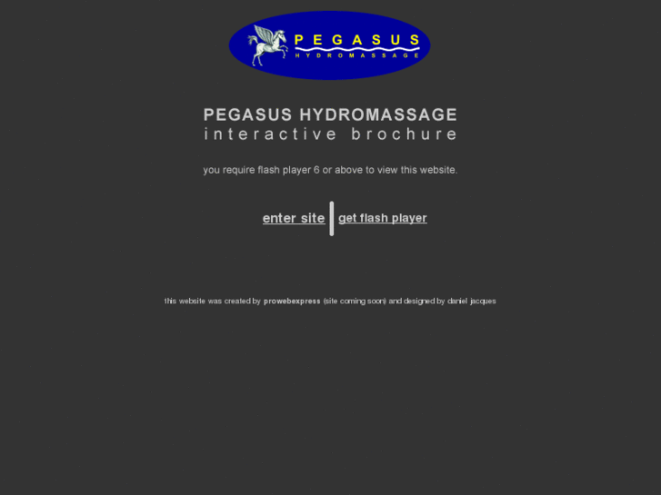 www.pegasus-hydromassage.co.uk