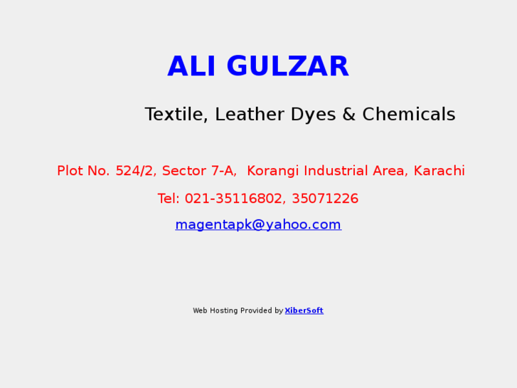 www.aligulzar.net
