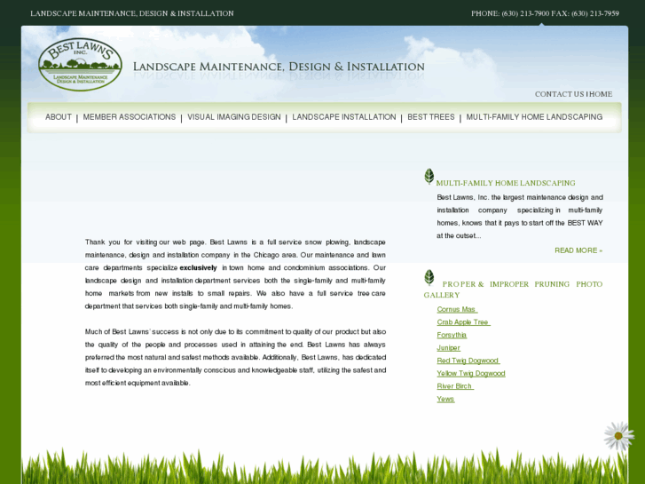 www.bestlawns.com