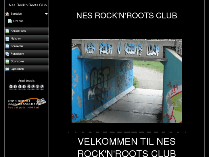 www.nesrocknroots.com