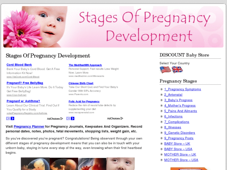 www.stages-of-pregnancy-development.com