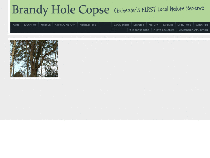 www.brandyholecopse.org.uk