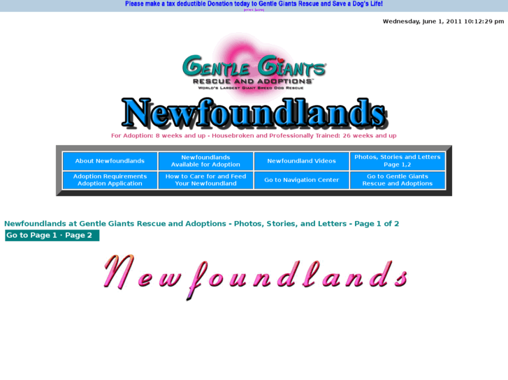 www.gentlegiantsrescue-newfoundlands.com