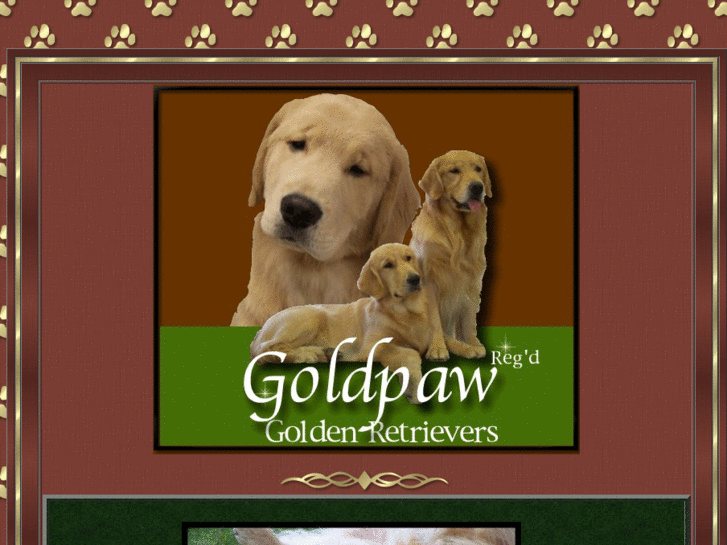 www.goldpawgoldens.com