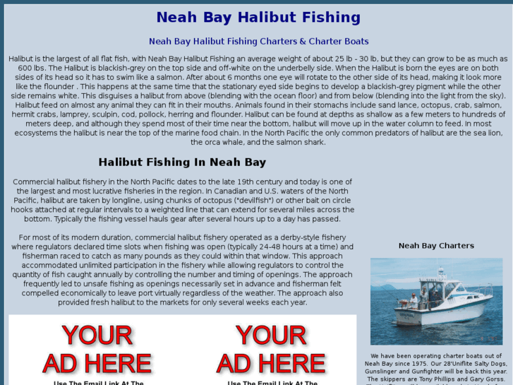 www.neahbayhalibutfishing.com