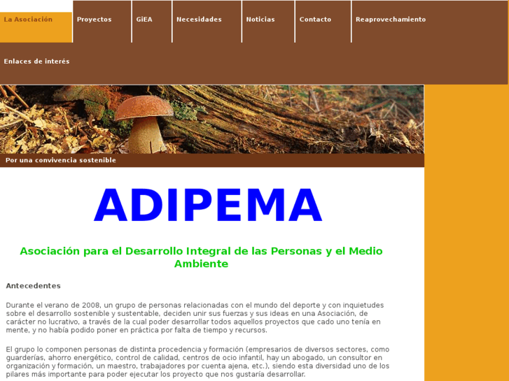 www.adipema.com