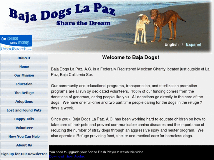 www.bajadogshelplineoflapaz.org