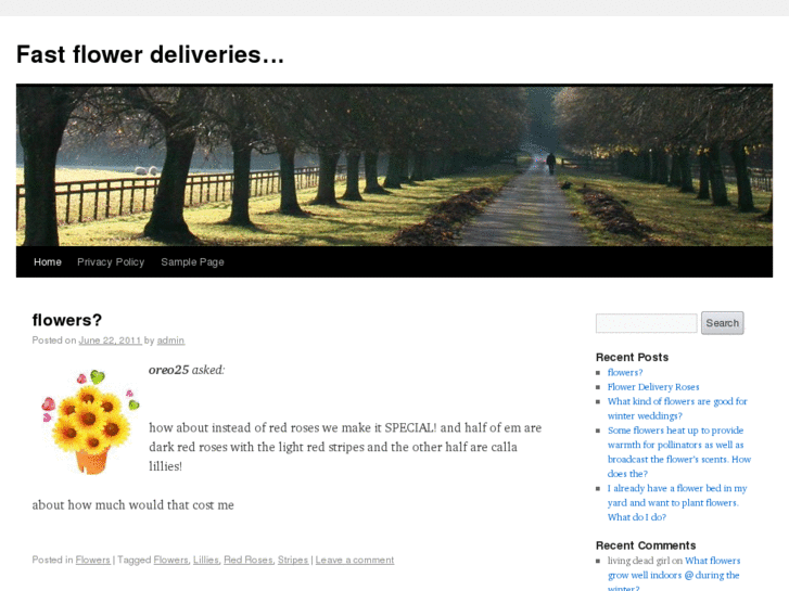 www.fastflowerdeliveries.com