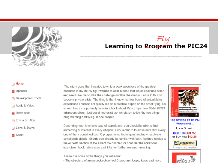 www.flyingpic24.com