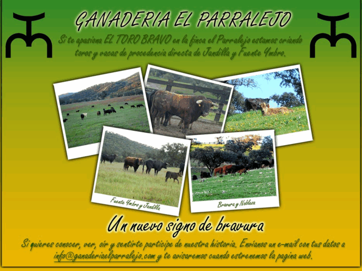 www.ganaderiaelparralejo.com