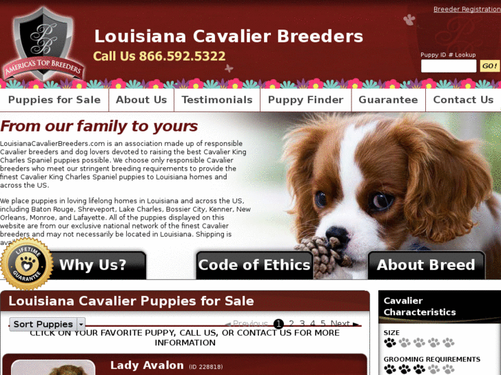 www.louisianacavalierbreeders.com