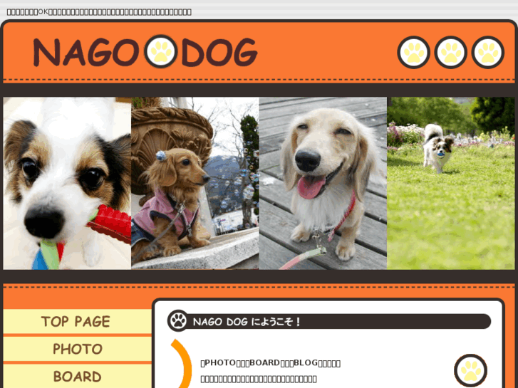 www.nagodog.net