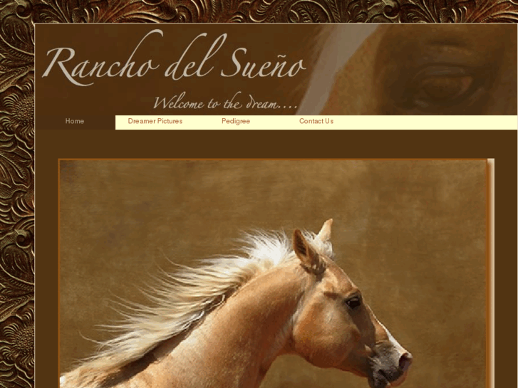 www.ranchodelsueno.net