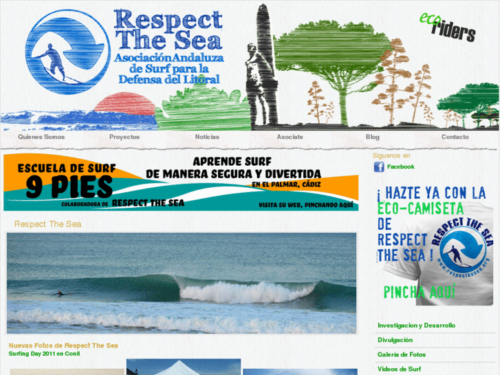 www.respectandsurf.org