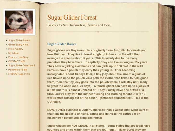 www.thesugargliderforest.com