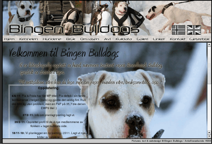 www.bingenbulldogs.com