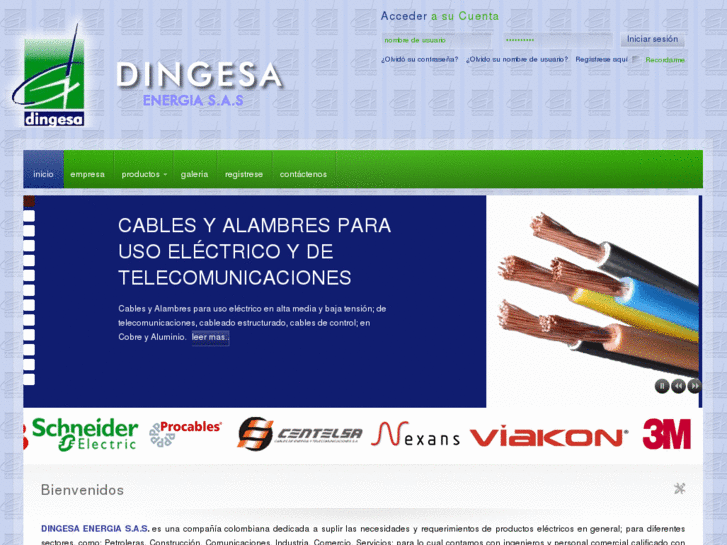 www.dingesa.com