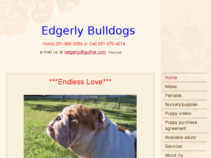 www.edgerlybulldogs.com