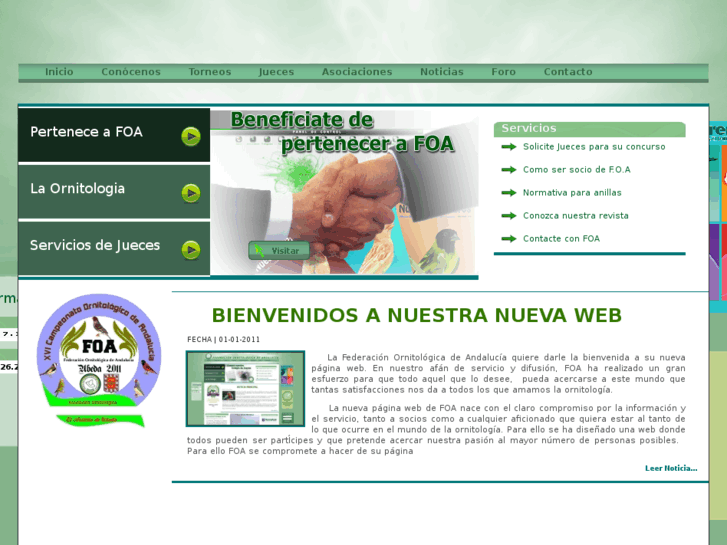 www.foandaluza.com