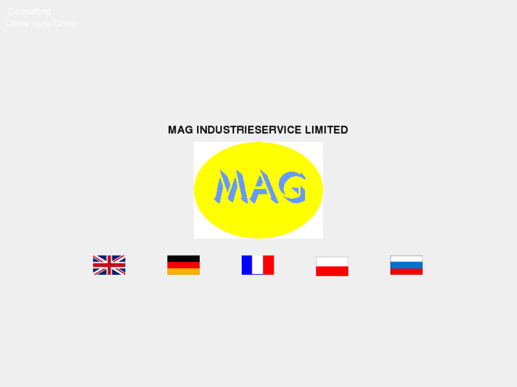 www.magindustrieservice.com