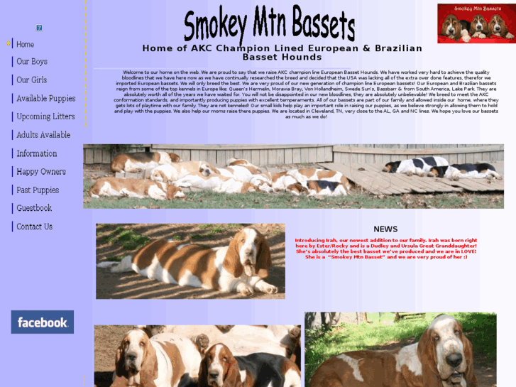 www.smokeymtnbassets.com