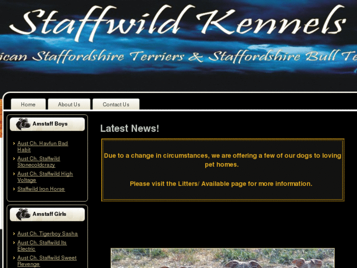 www.staffwild.com