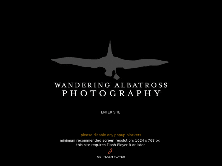 www.wanderingalbatrossphoto.com