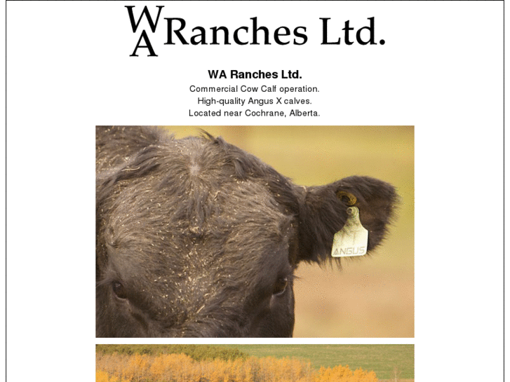 www.waranchesltd.com