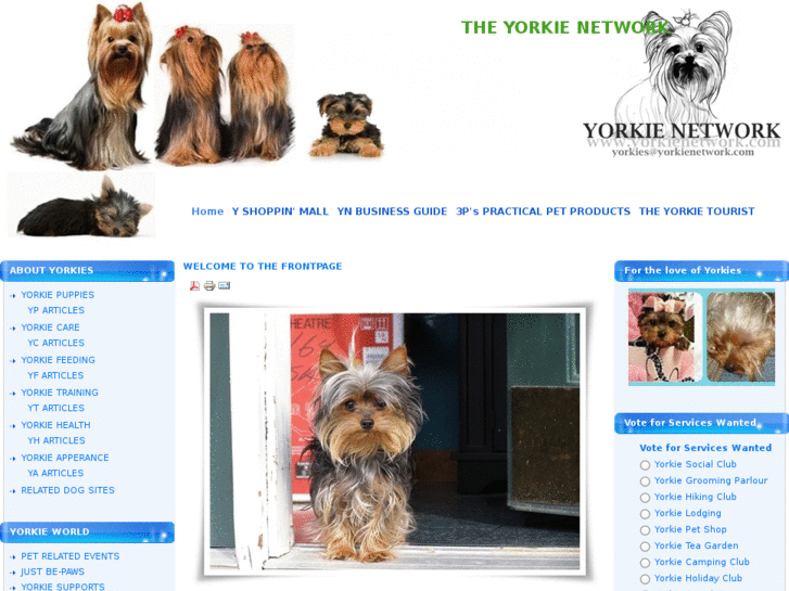 www.yorkienetwork.com