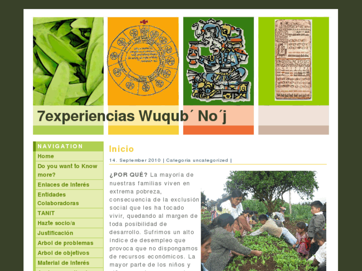 www.7experiencias.org